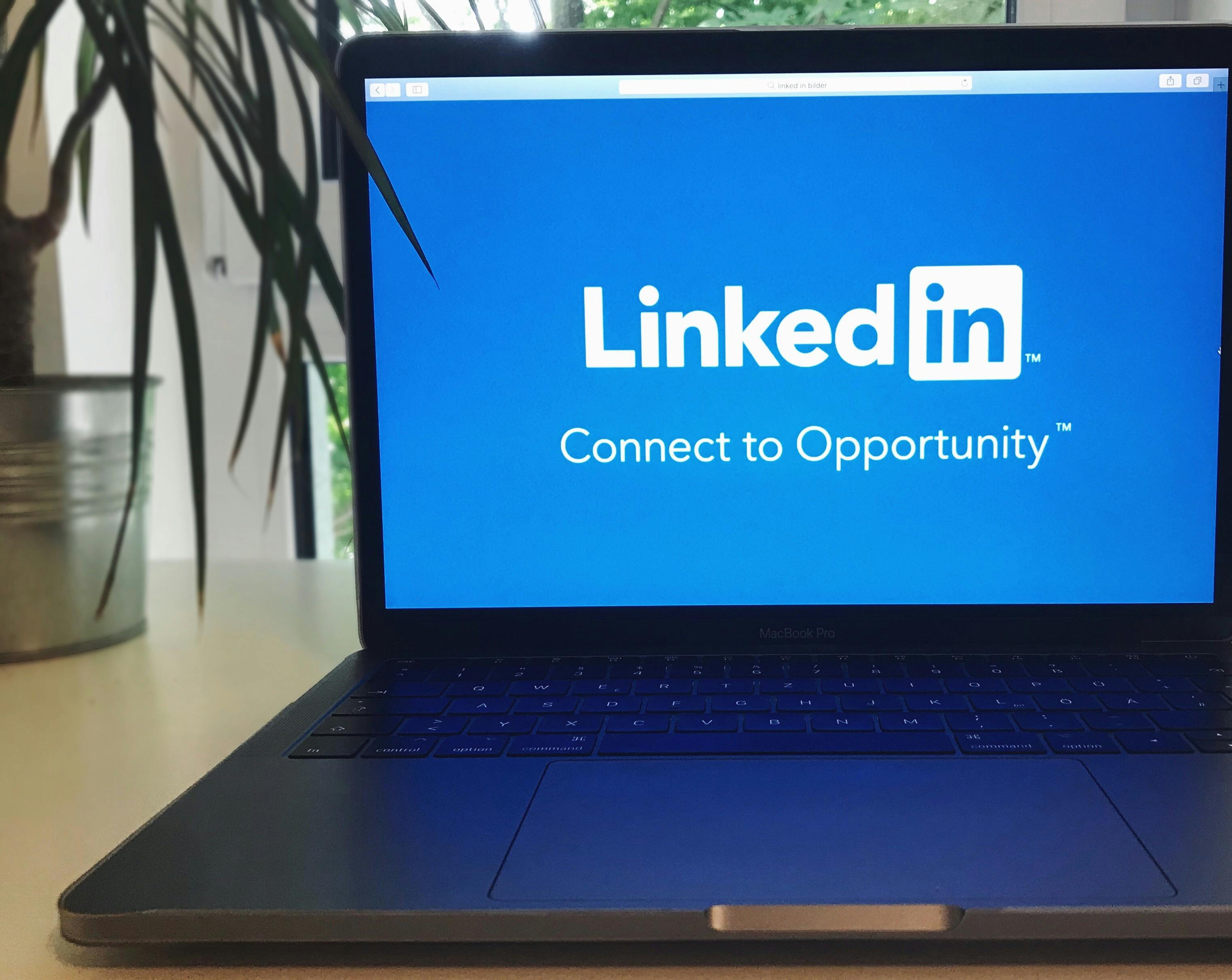 LinkedIn Tests an AI-Powered Search Tool for Job Hunting
